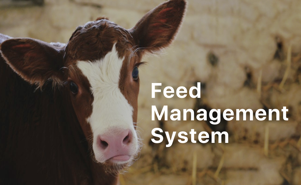 Feed management system