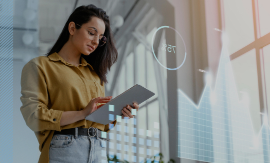 Professional custom web development services for businesses