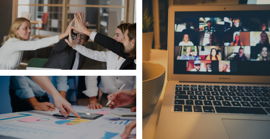 Dedicated Software Development Team